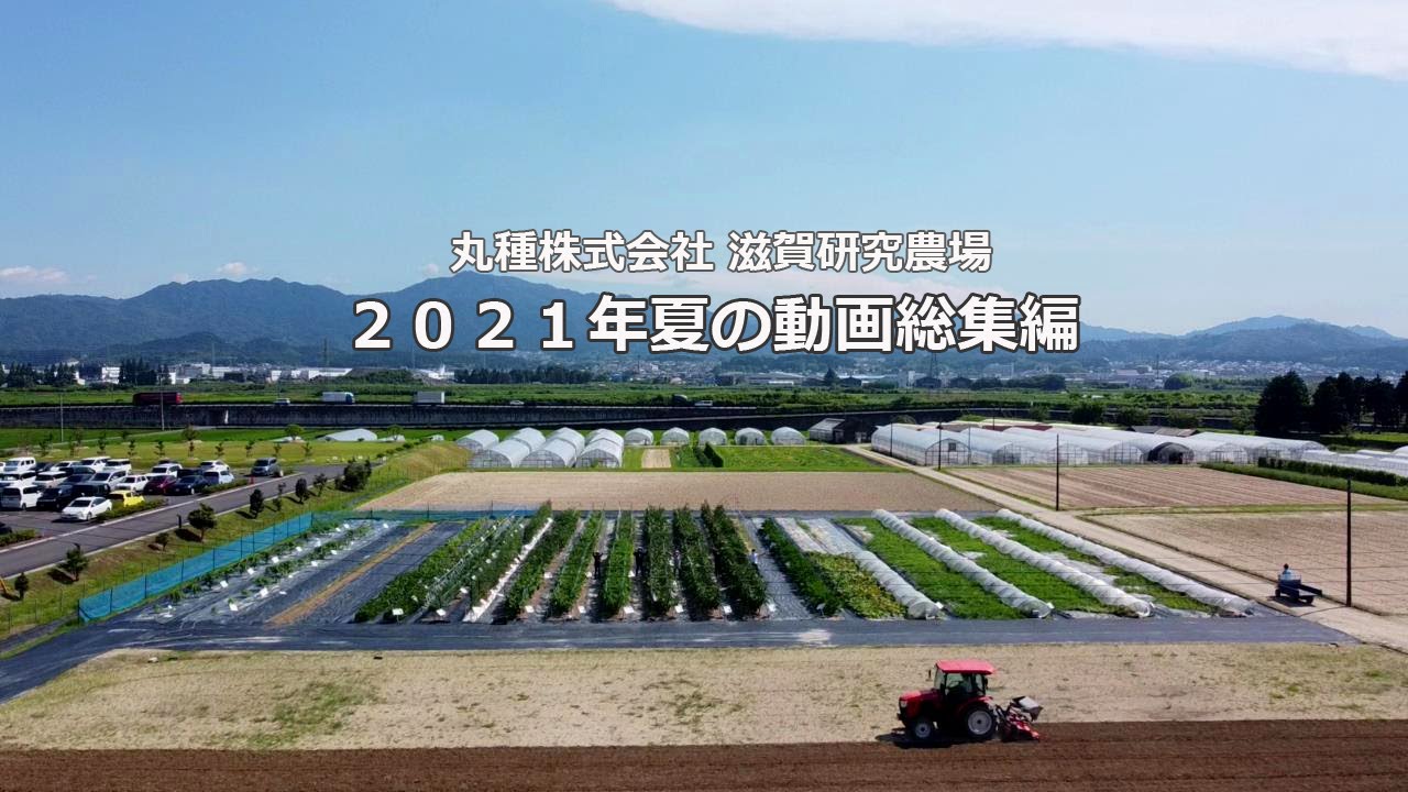 ２０２１年夏の動画総集編
