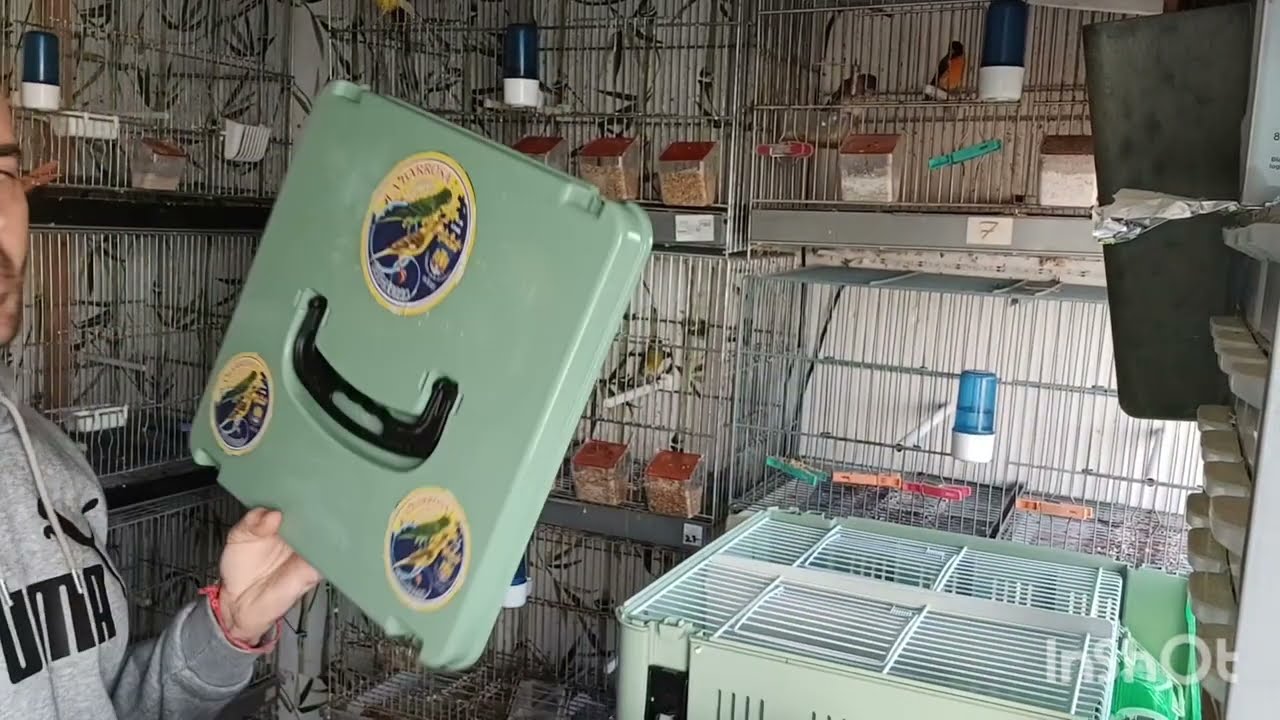 Ya tenemos los pájaros en el regional la suerte esta echada y mucho ánimo a la COMUNIDAD VALENCIANA🐦