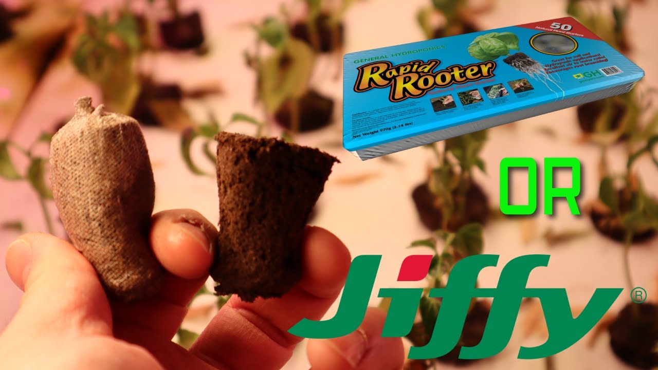 Rapid Rooter or Jiffy J7 Peat Pellets