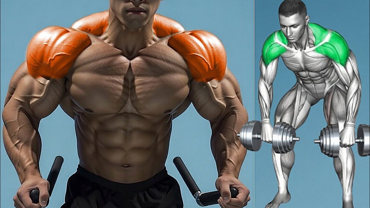 Best Deltoid and Traps Workout for Explosive Upper Body Growth