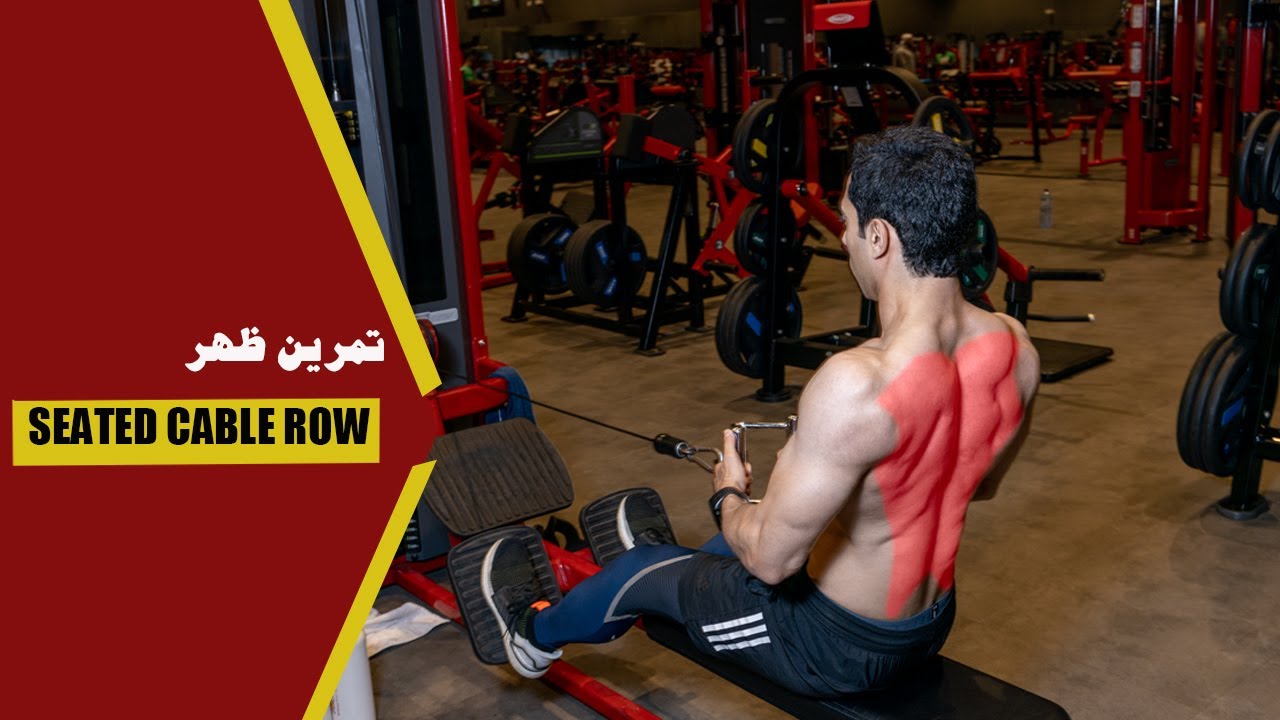 Seated Cable Row | طريقة تمرين الظهر