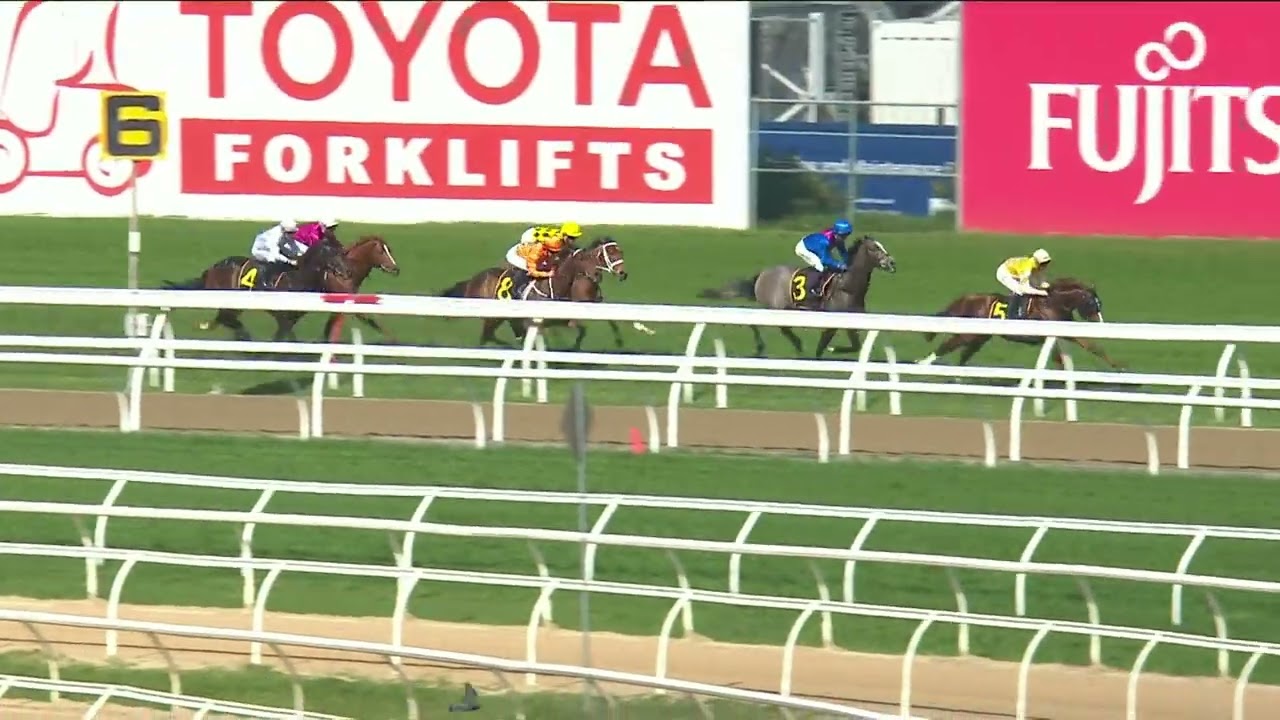 AN ABSOLUTELY GLOWING WIN ON DEBUT TO AUTUMN GLOW AT ROSEHILL! 🤩
