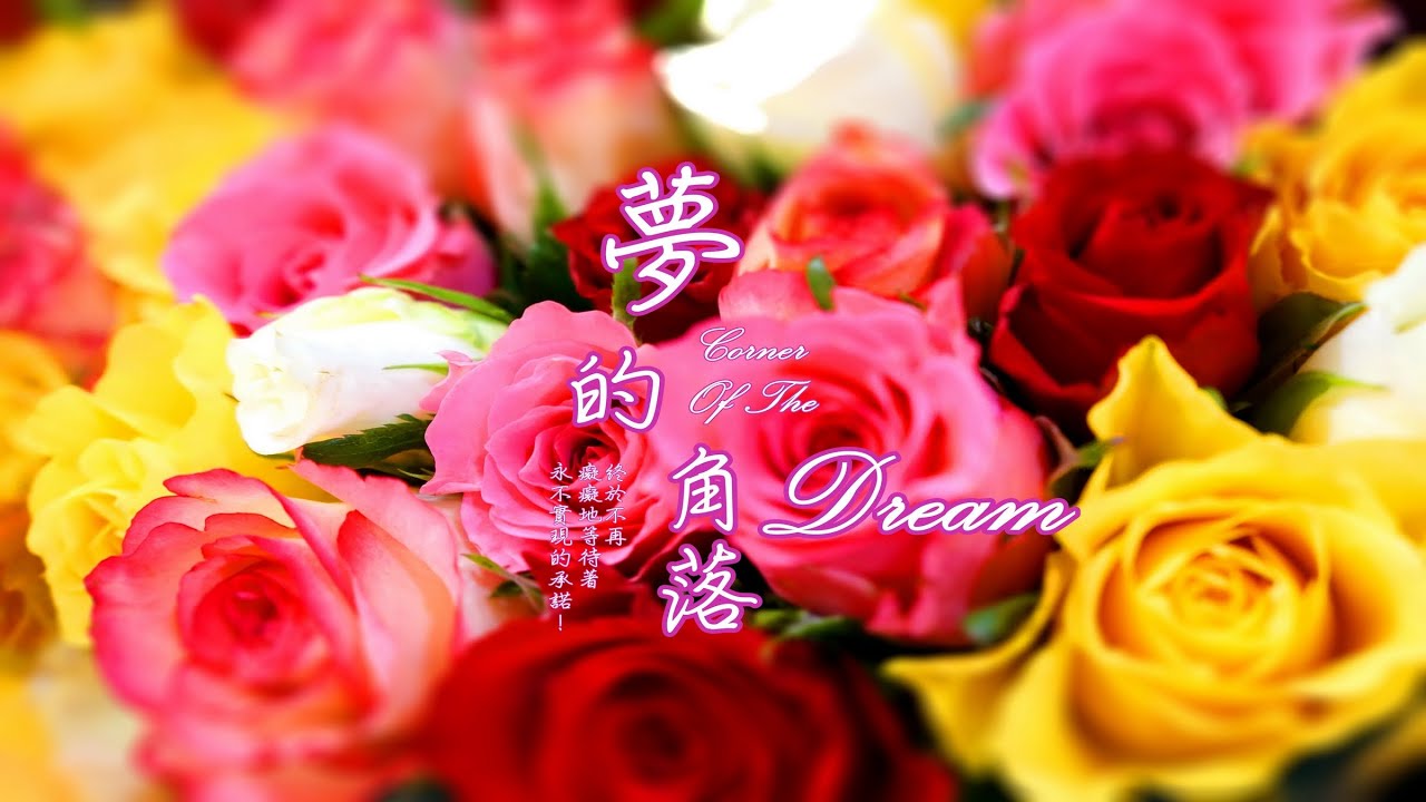 《夢的角落 ☆ Corner Of The Dream》（全專輯）1:28:00
