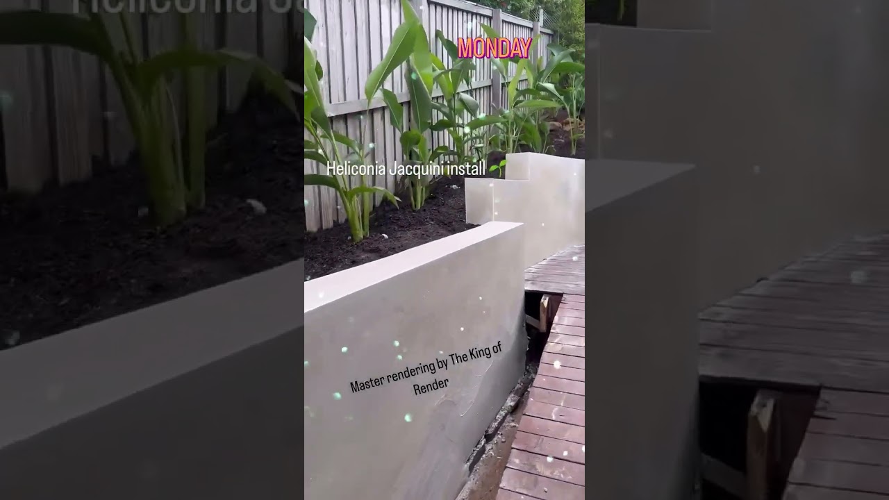Heliconia Install | Jacquini