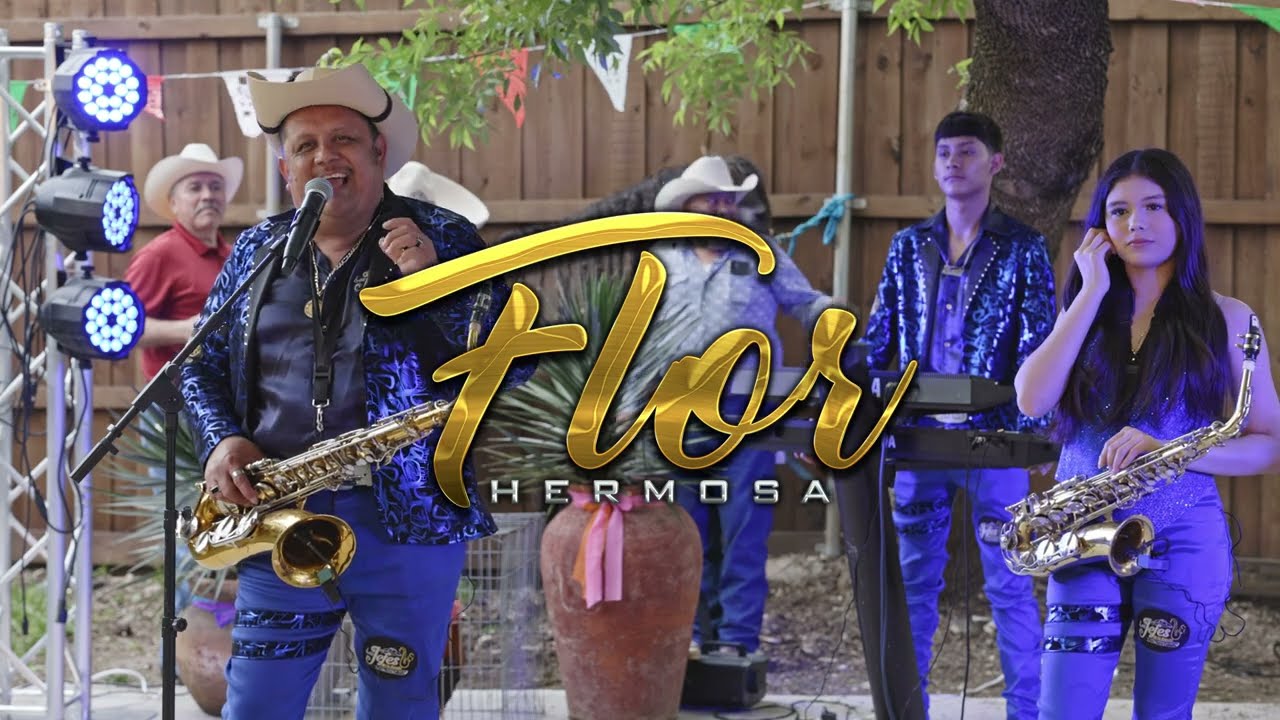 Flor Hermosa, Los Jefes de la Banda, Puro Tierra Caliente. 🔥🔥🎷🎹🎙️🥁🎷🎙️🎹🎶💯