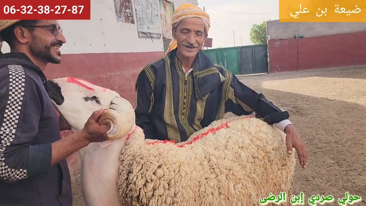ضيعة إبن الرضى عبد فيها سعادة وتيجارة ولولاعة بتاريخ/12/10/25 تقديت 16 الحولية وجوج حوالا طوووب