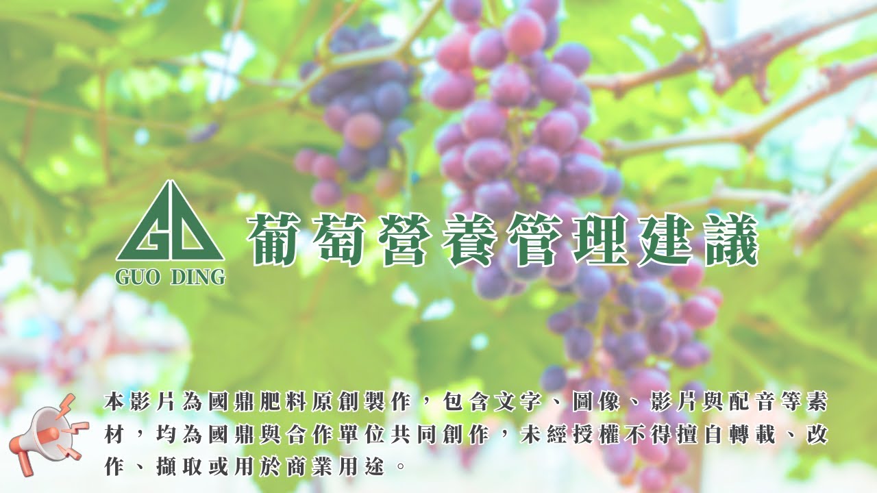 《葡萄如何施肥最有效？營養管理實用技巧教學》