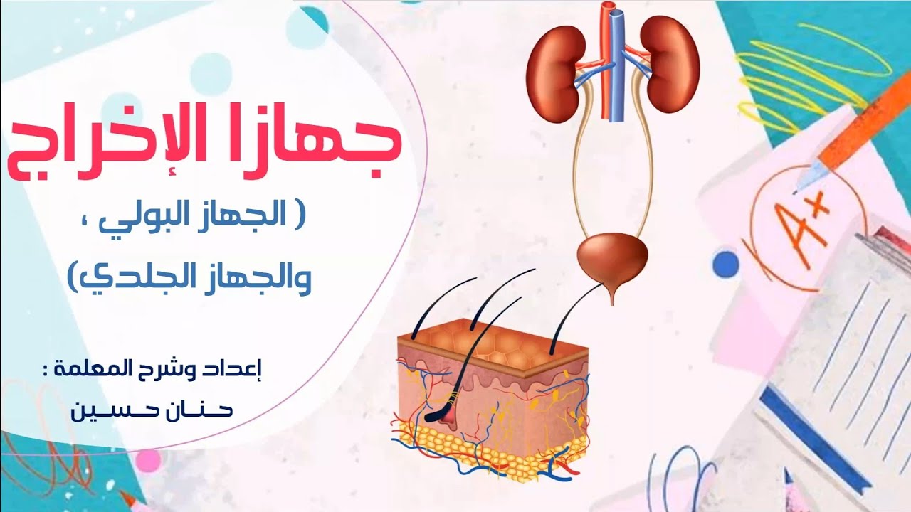 الصف السادس : جهازا الإخراج ( الجهاز البولي والجهاز الجلدي )