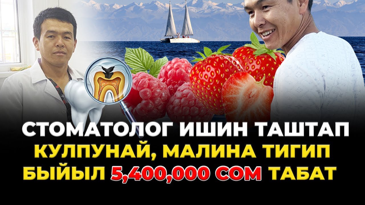 КУЛПУНАЙ же МАЛИНА, кайсынысы КИРЕШЕЛҮҮ?