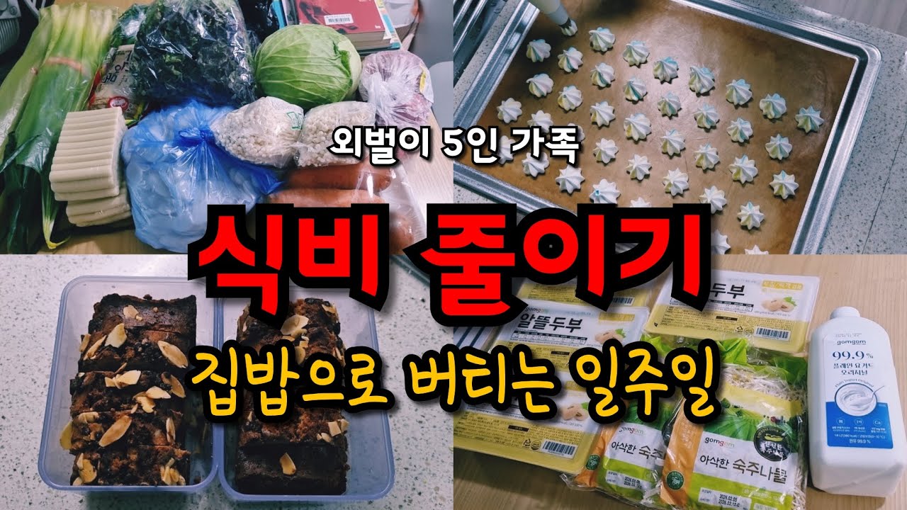 외벌이 5인 가족 식비 줄이기 브이로그 | 집밥으로 버틴 일주일