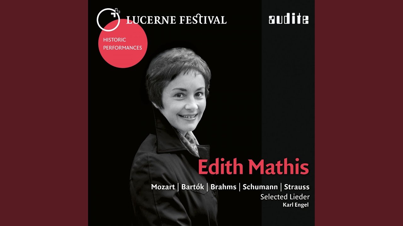 Schlechtes Wetter, Op. 69, No. 5 (Live)