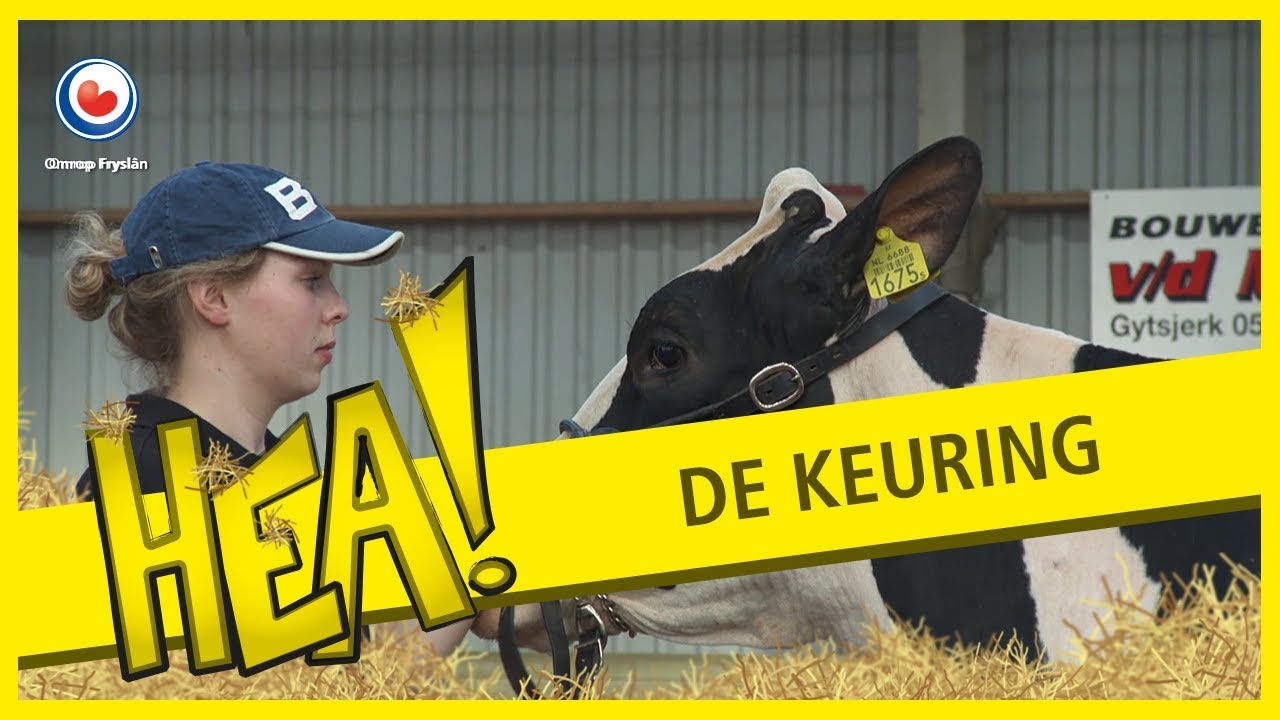 HEA! De keuring