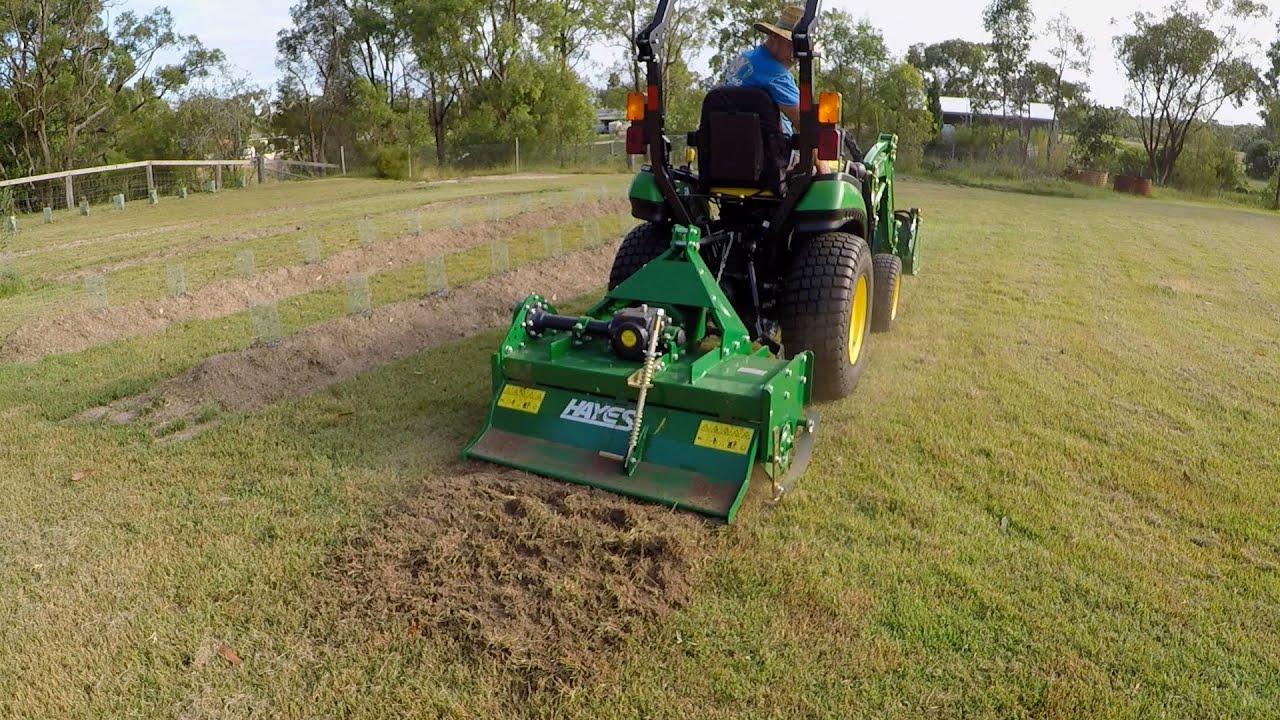 Lavender 'Grosso' Row Preparation