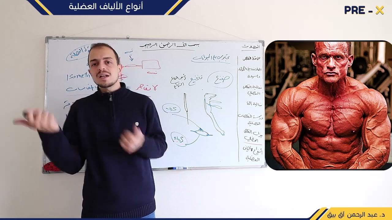 أنواع الألياف العضلية