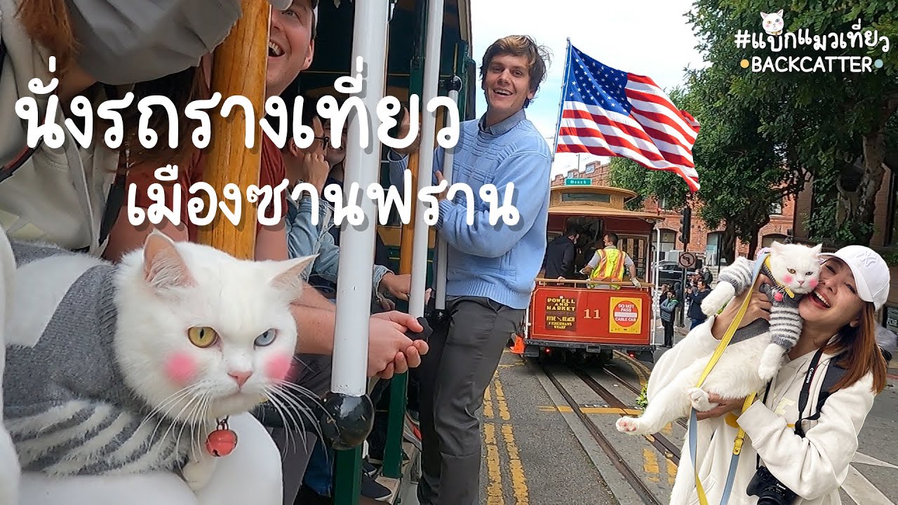 นั่งรถรางเที่ยวรอบเมืองซานฟราน | แบกแมวเที่ยว