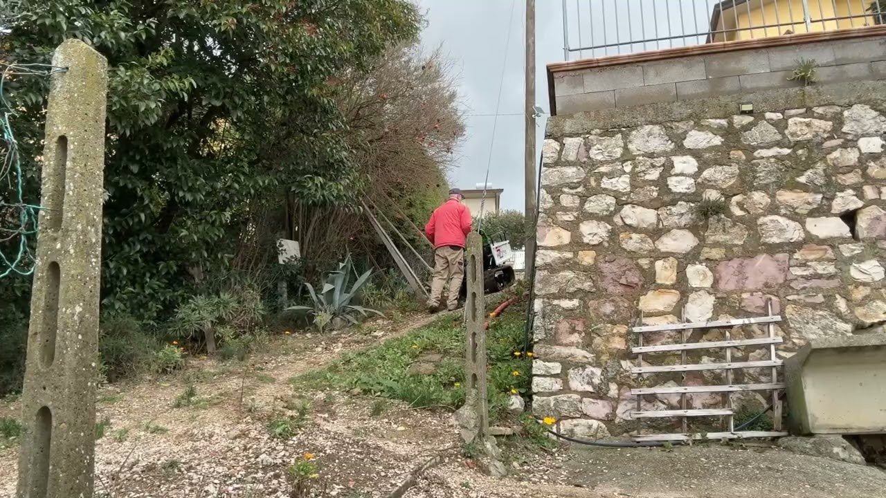 First climb onto the steep part of our terrain, with a light load of firewood