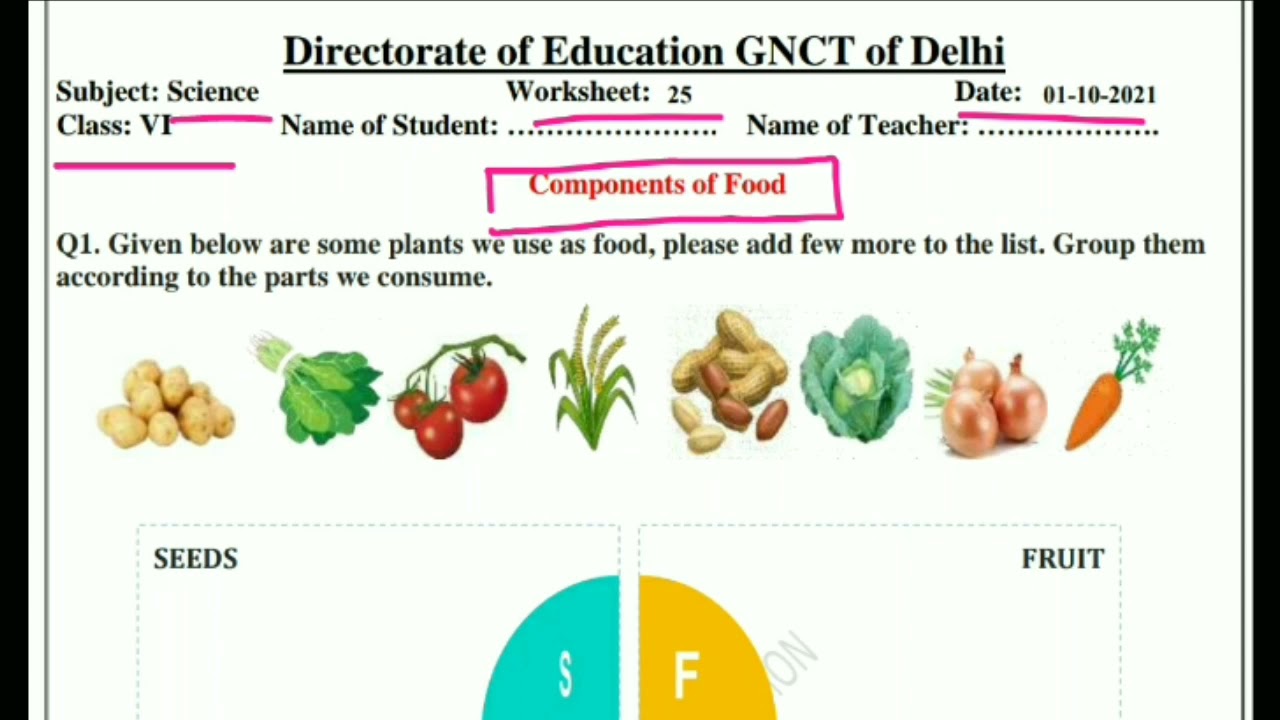 class 6 Science Worksheet 25 English medium 1/10/2021@SmartlearningScience