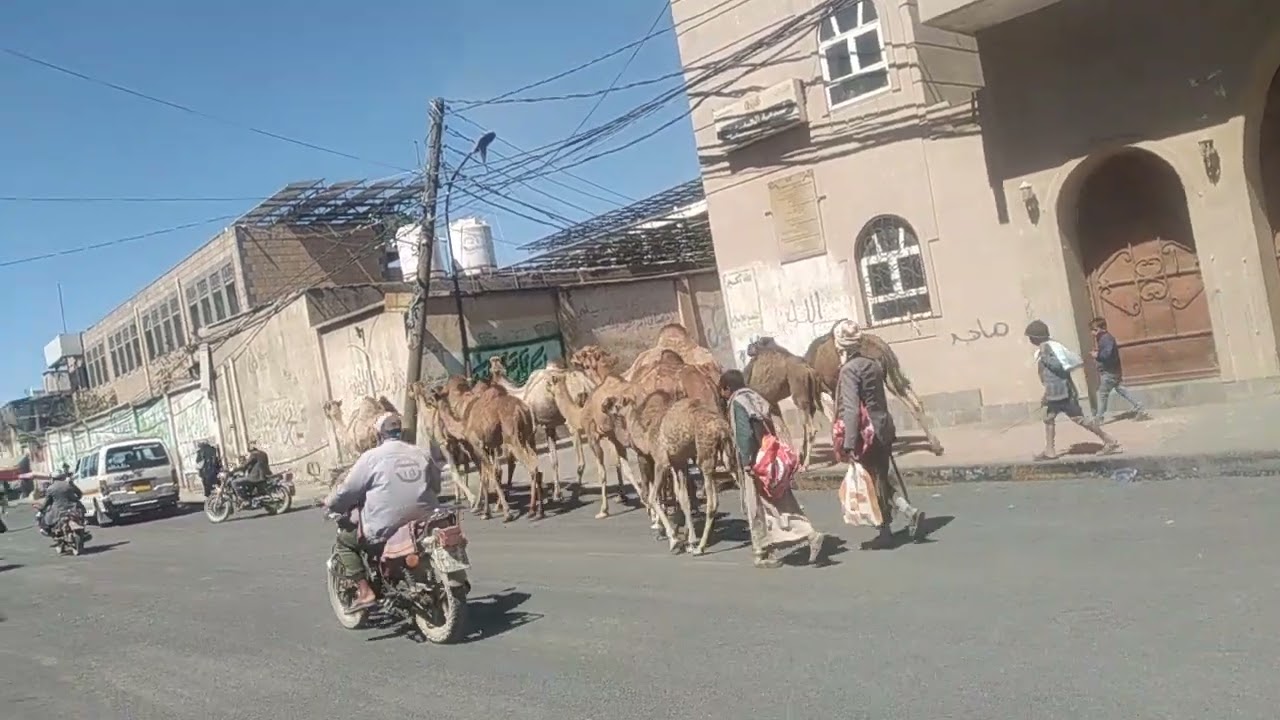 ذمار جمهورية اليمنية 