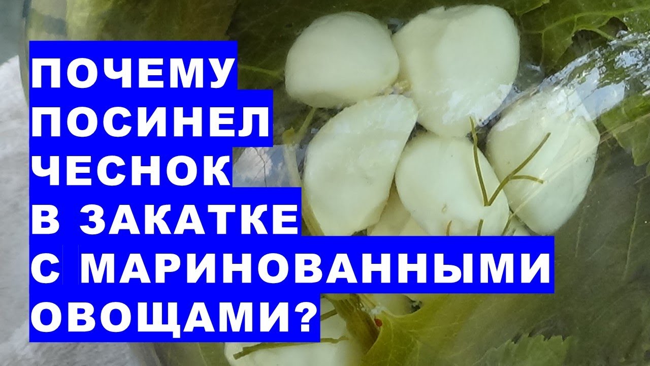 Почему посинел чеснок в закатке с маринованными овощами? Можно ли есть такие овощи и сам чеснок?
