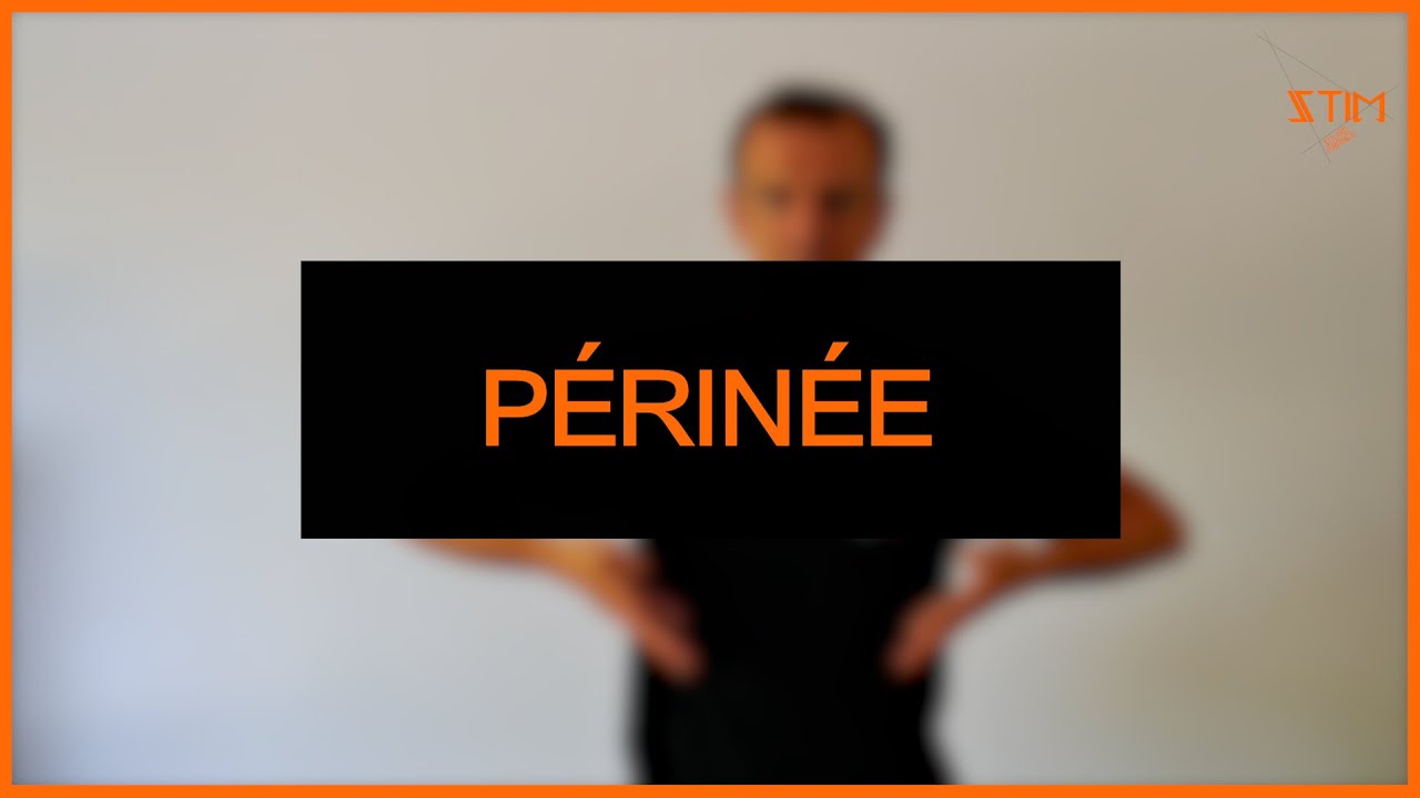 Périnée (Anatomie) - LSF
