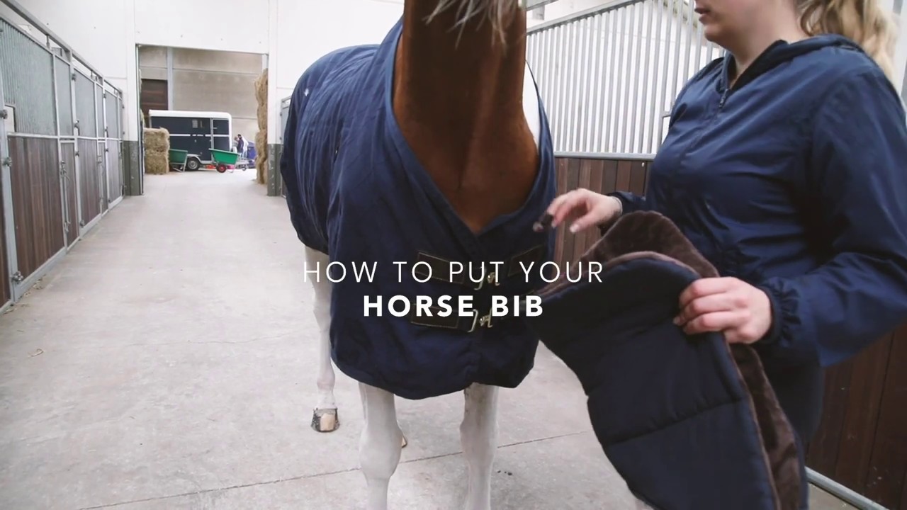 kavalio.de | KENTUCKY HORSEWEAR | How to use - HORSE BIB!
