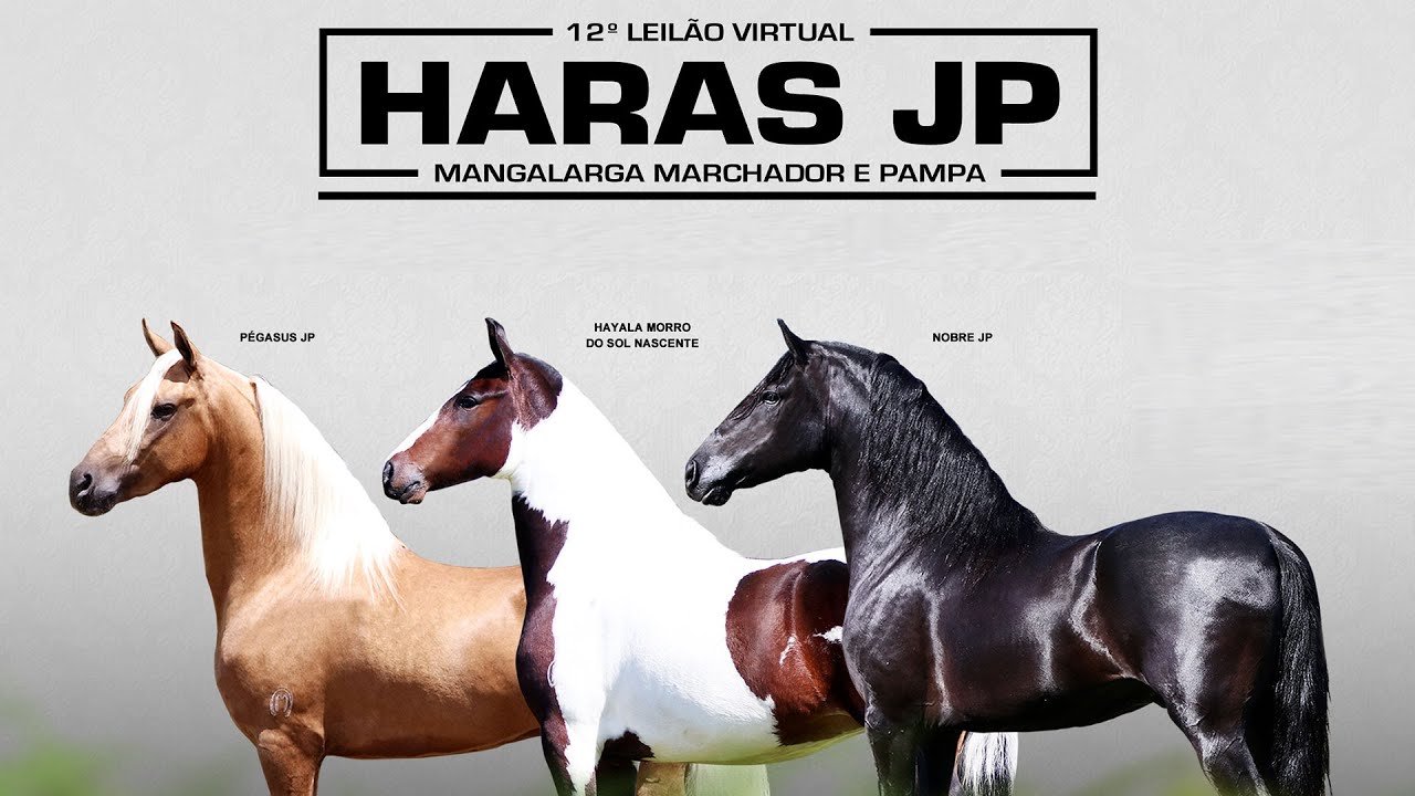 27-04-2022 - 12º LEILÃO VIRTUAL HARAS JP