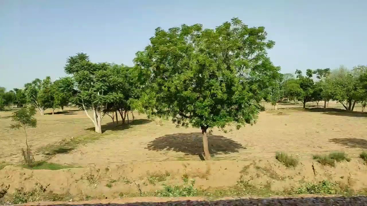 Alwar to jaipur train tour