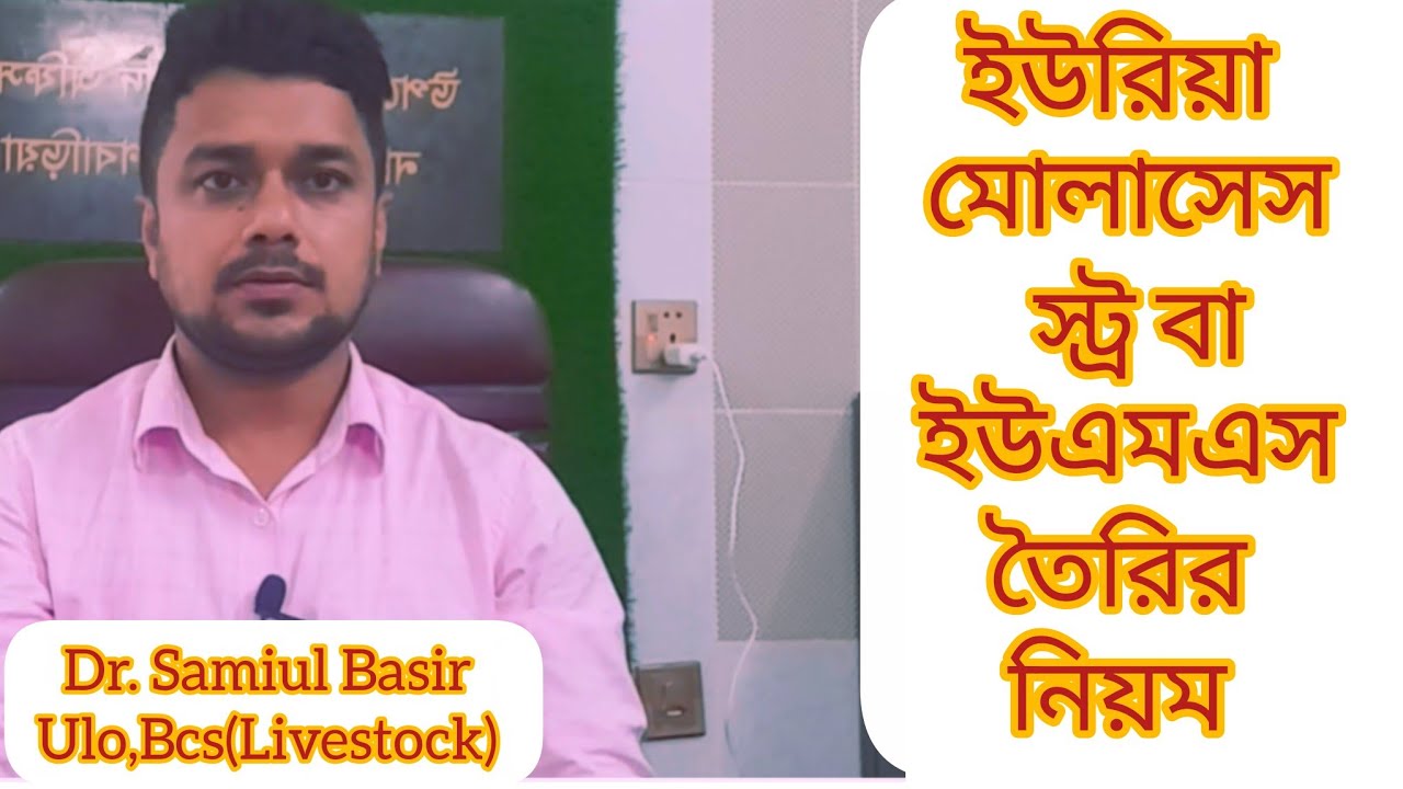ইউরিয়া মোলাসেস স্ট্র খাওয়ানোর নিয়ম। ইউরিয়া মোলাসেস স্ট্র তৈরির নিয়ম। ইউএমএস তৈরির পদ্ধতি। 