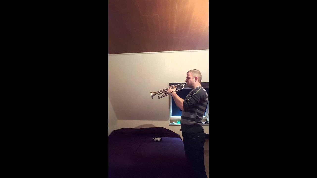Canción  con trompeta  ( me llaman perla preciosa )