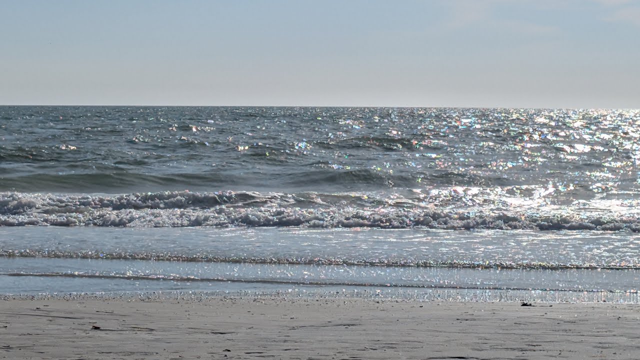 Peaceful beach day! 🌊🐚🐠🪸✨