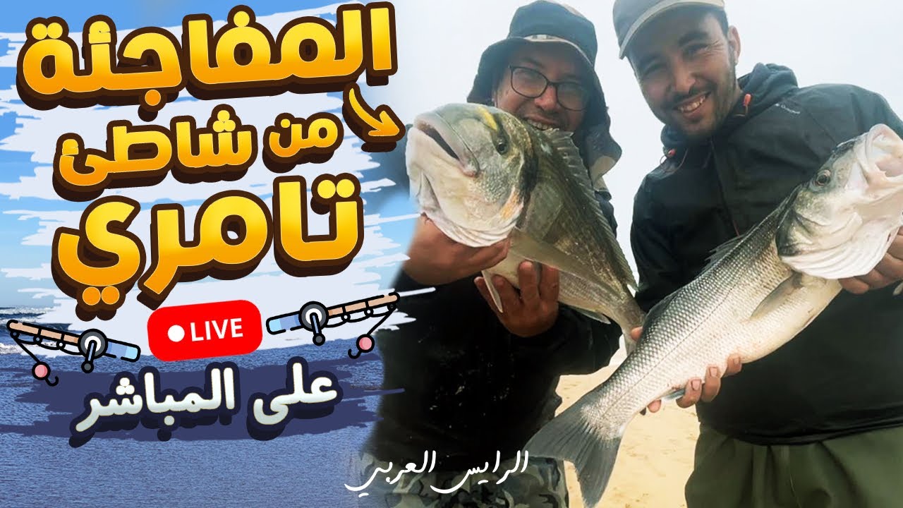 صيد سمك درعي و دوراد او زريقة من شاطئ تامري رفقة الرايس نور الدين