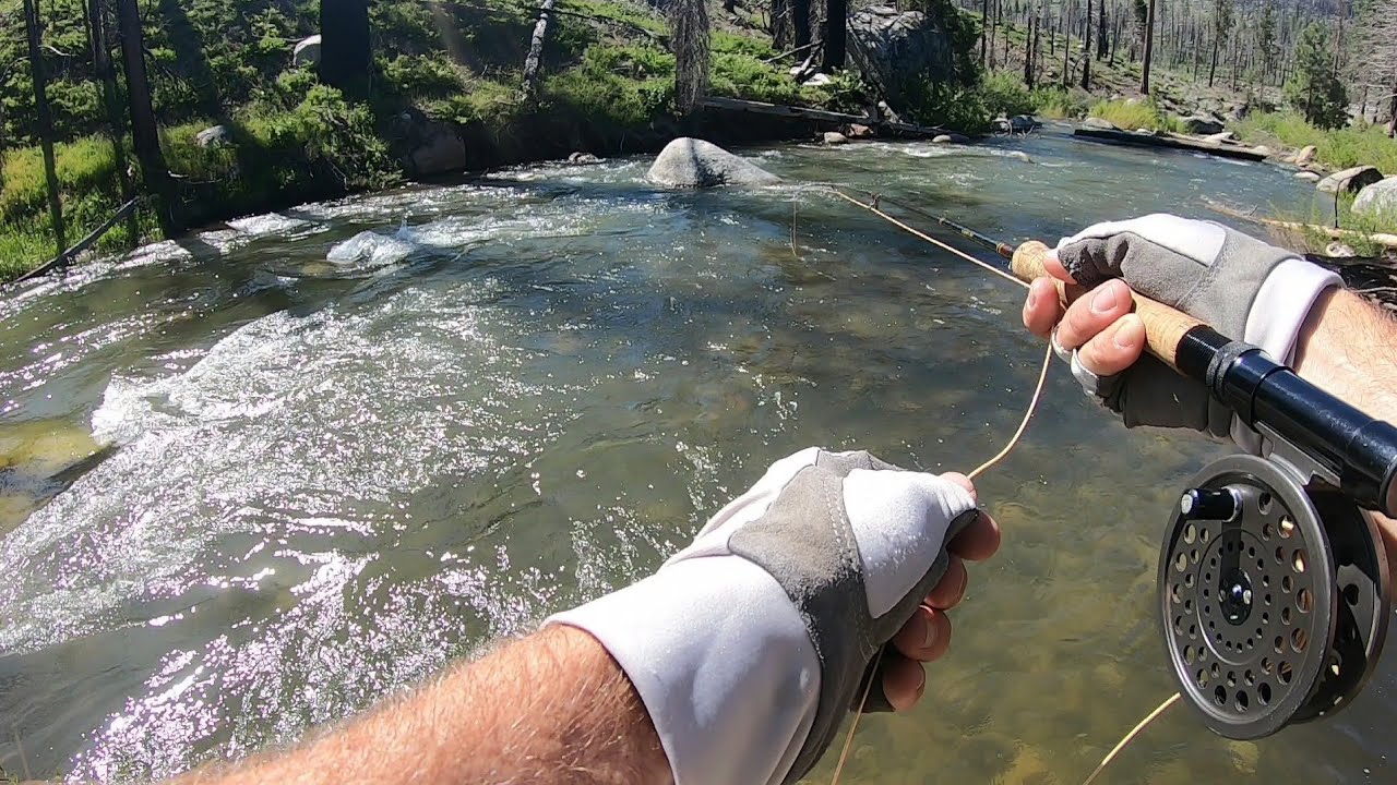 FLY FISHING FOR THE 1ST TIME | CENTRAL CALIFORNIA RIVERS, LOOKING FOR FISHING SPOTS