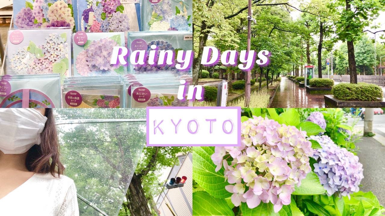 Rainy Days in Kyoto Vlog | Found Ajisai ( Hydrangea ) in the streets of Kyoto