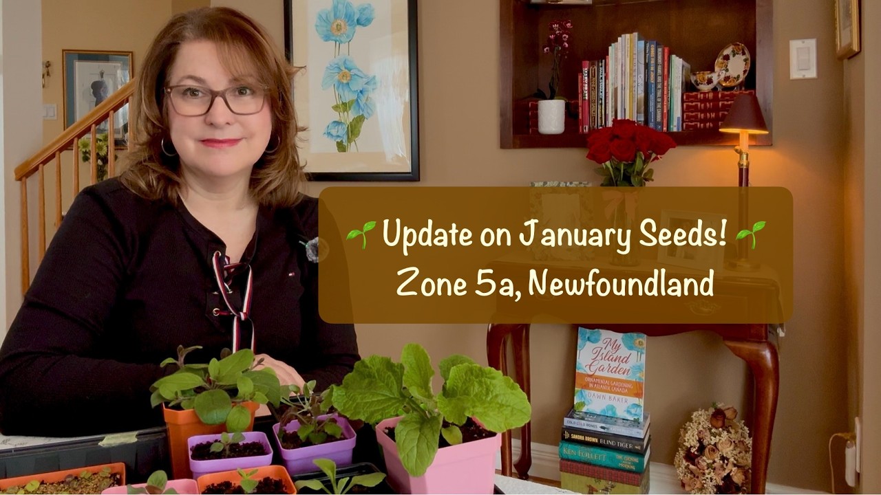 Update on #Seeds planted indoors in #January! #zone5 #Newfoundland Warm & Cool #GrowSpaces 🌱🪴🌱🪴🌱