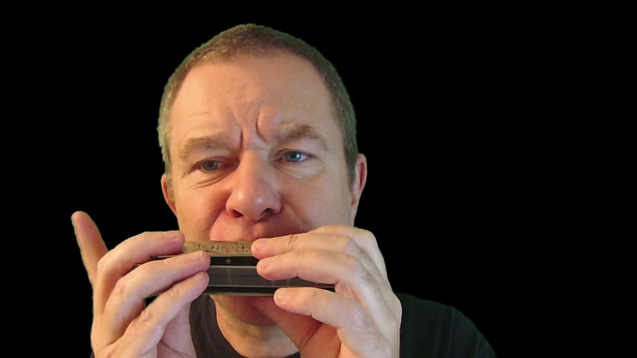 Which harmonica should I use for online courses?