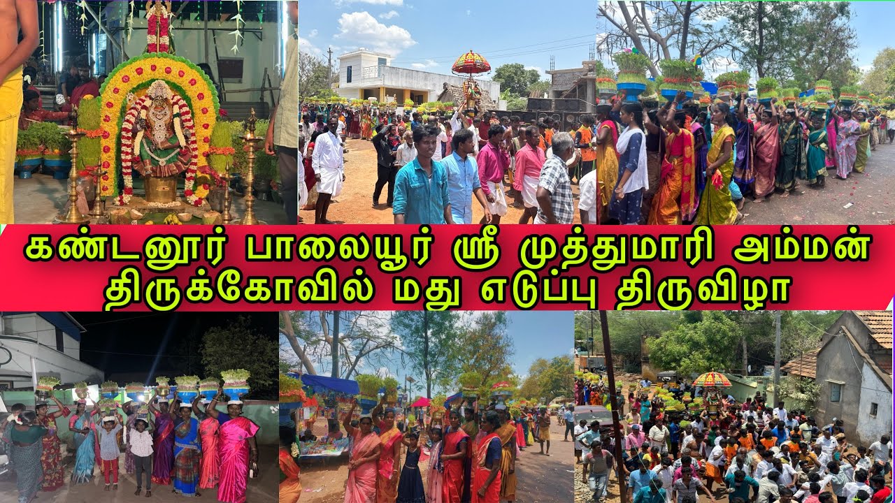 மது எடுப்பு திருவிழா | கண்டனூர் பாலையூர் ஸ்ரீ முத்துமாரி அம்மன் திருக்கோவில் மது எடுப்பு திருவிழா