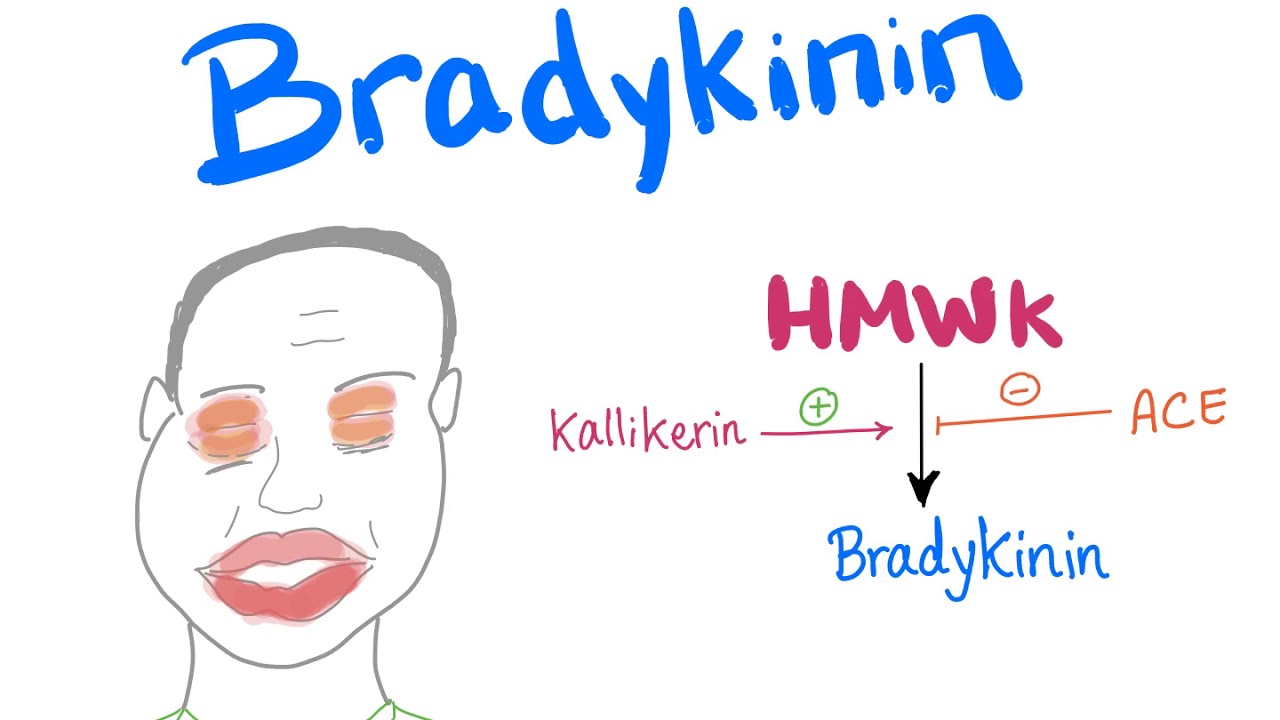 Bradykinin | Let the Drama begin!