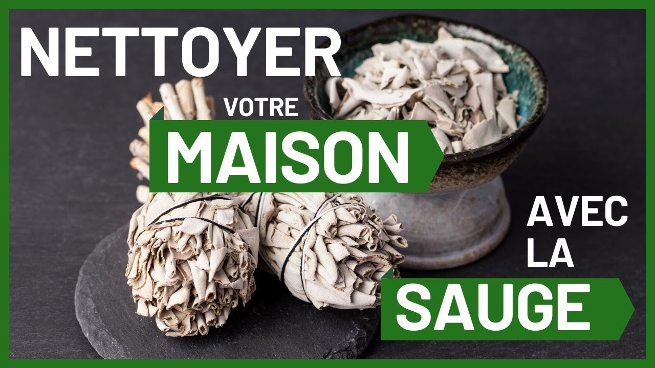 COMMENT NETTOYER VOTRE MAISON ET CHAKRAS AVEC LA SAUGE BLANCHE.