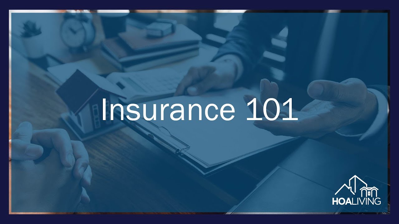 Insurance 101 (10/2023)