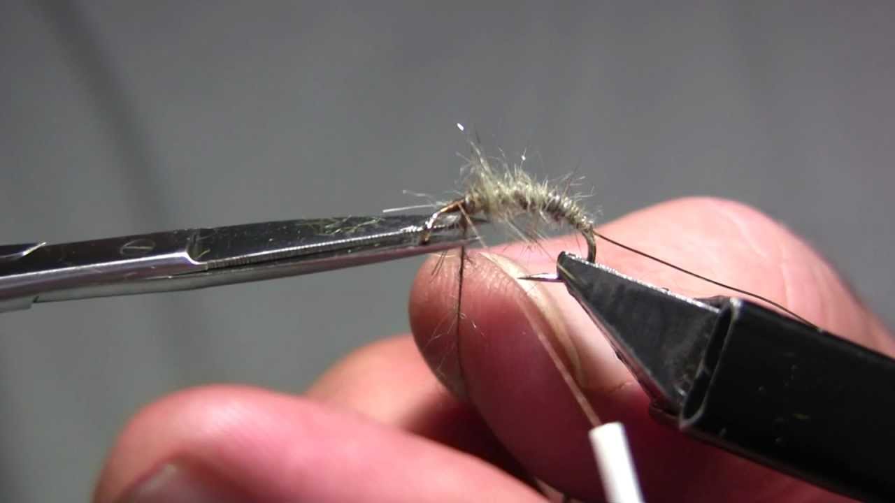 Czech Nymph spezial.