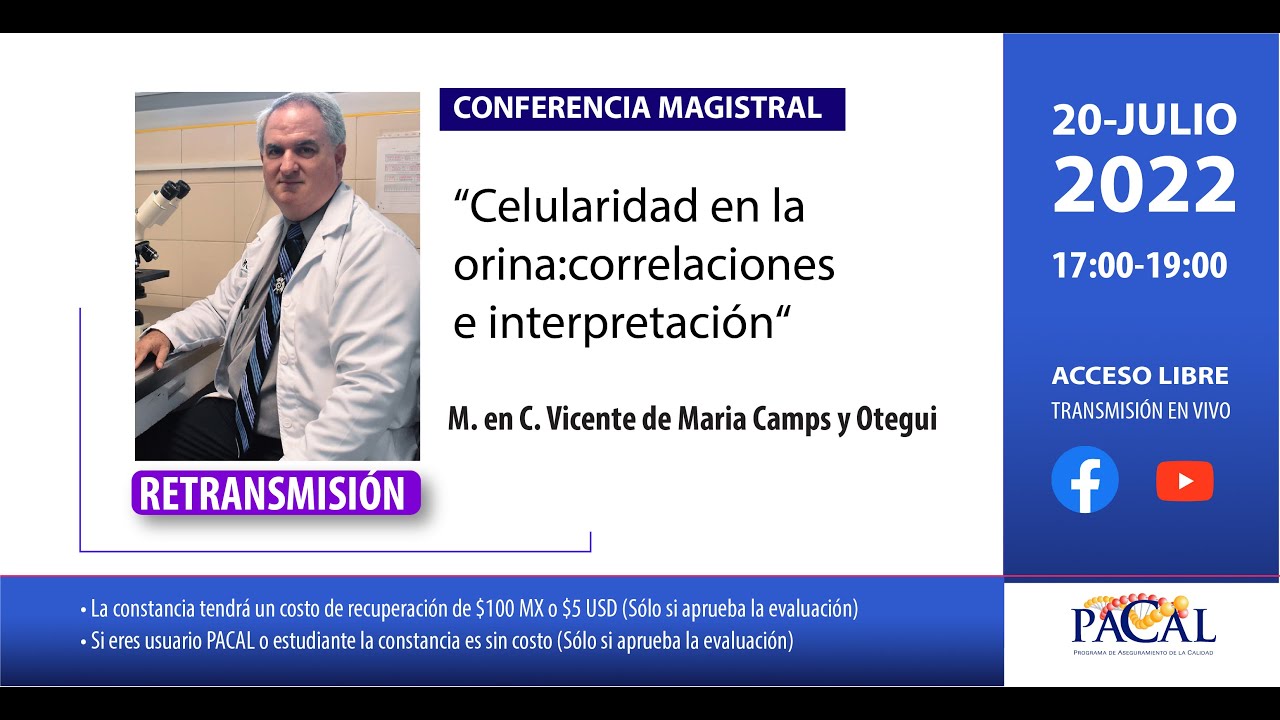 Celularidad en al orina: Correlaciones en interpretación