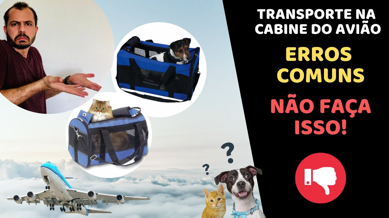 VIAGEM CÃES E GATOS NA CABINE DO AVIÃO | ERROS COMUNS | NÃO FAÇA ISSO!