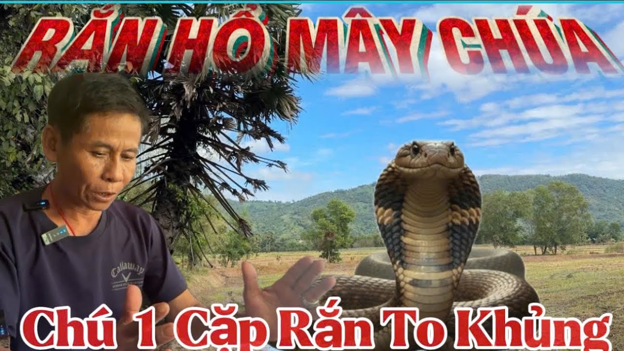 Chú ba Sống ở vùng Thất sơn 7 núi chạm trán rắn hổ mây to khủng và hồi ức về trận giặc PolPot 1978 