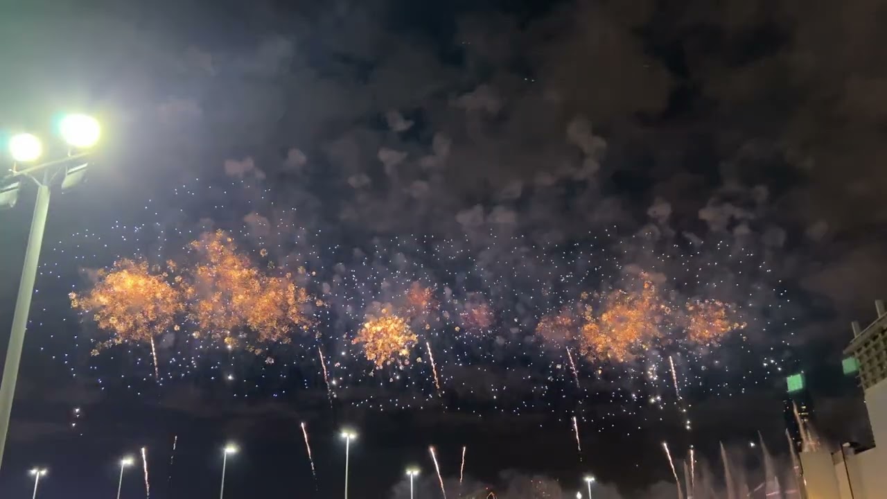 New Year fireworks 💥 2026