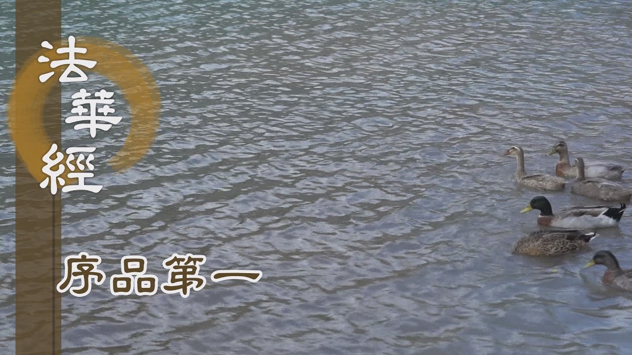 【靜思妙蓮華】法華經序品第一 - 法無古今 等同日月 - 20200303 第185集