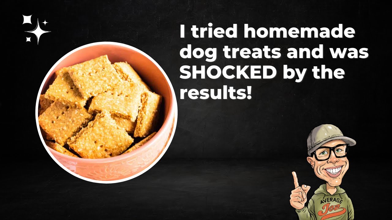 Homemade Dog Treats | Easy Healthy Dog Treat Recipe (No Preservatives!)