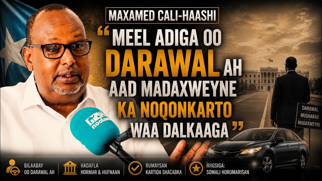 Ganacsade Maxamed Cali Xaashi - Meel adiga oo darawal ah aad madax ka noqon kartid waa dalkaaga