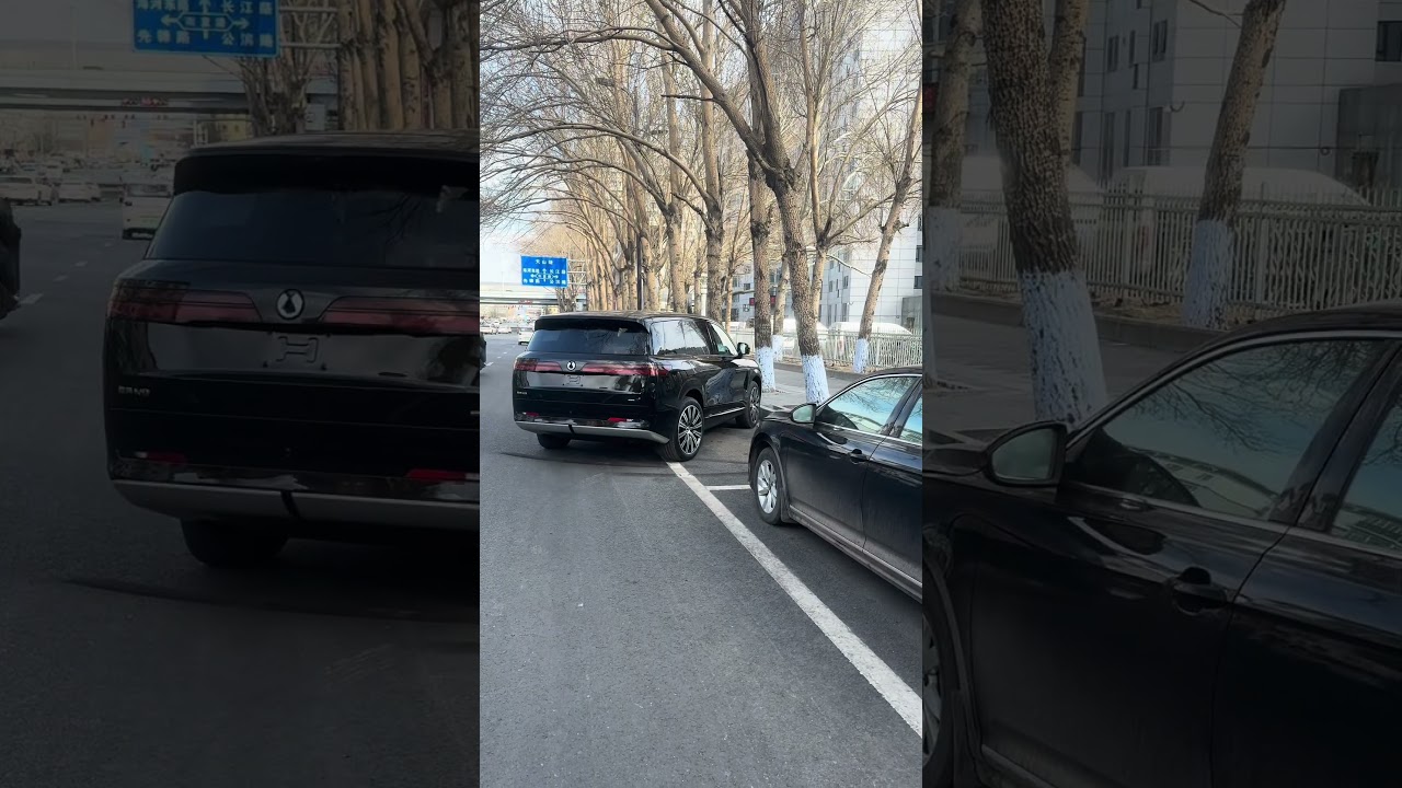 BYD Denza N9 Parallel Parks ITSELF PERFECTLY‼️ 😱🚗 This Tech Is ILLEGAL‼️
