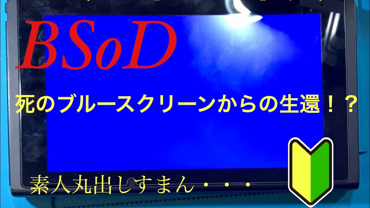 ニンテンドースイッチ 死のブルースクリーンから脱出できるか？　Nintendo Switch　Blue Screen of Death　BSoD　Fix