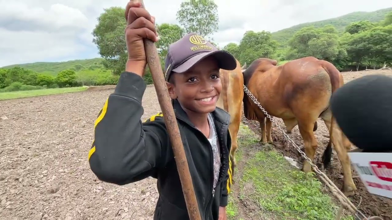 Agricultor Arando Terra São José da Tapera - AL 27 - 05 - 2025 #nordeste